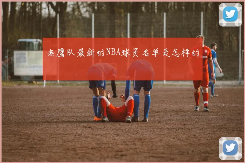 老鹰队最新的NBA球员名单是怎样的