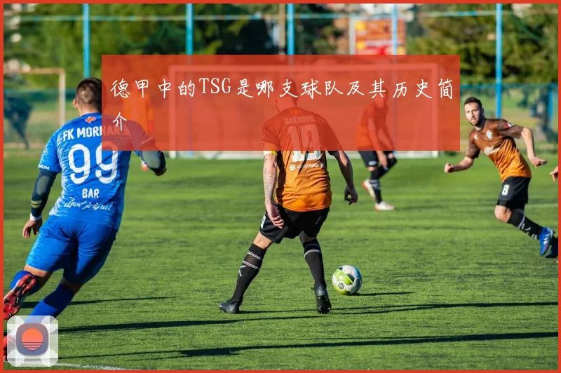 德甲中的TSG是哪支球队及其历史简介
