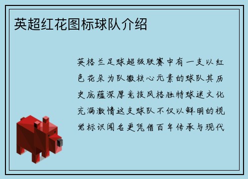 英超红花图标球队介绍